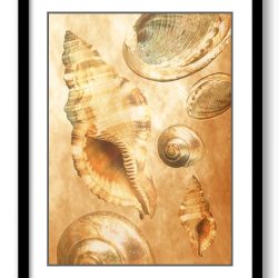 INSTANT DOWNLOAD Sea Shells Ocean Cream Beige Sand Art Print Old Antique Vintage Botanical Printable Bathroom Bedroom Beige Brown