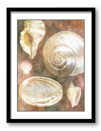 INSTANT DOWNLOAD Sea Shells Ocean Grey Silver Beige Sand Art Print Old Antique Vintage Botanical Bathroom Bedroom