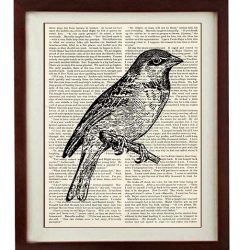 INSTANT DOWNLOAD Sparrow Bird Vintage Style Print - Art Print Book Page Dictionary Old Antique Printable - Vintage Animal Art Print