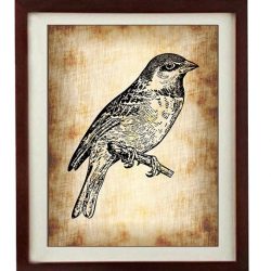 INSTANT DOWNLOAD Sparrow Bird Vintage Style Print Art Print Parchment Paper Old Antique Printable Vintage Animal Art Print