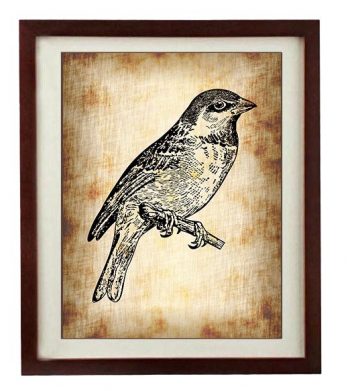 INSTANT DOWNLOAD Sparrow Bird Vintage Style Print Art Print Parchment Paper Old Antique Printable Vintage Animal Art Print