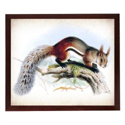 INSTANT DOWNLOAD Squirrel Vintage Style Print Poster Wall Art Parchment Paper Old Book Illustration Antique Printable Animal Decor