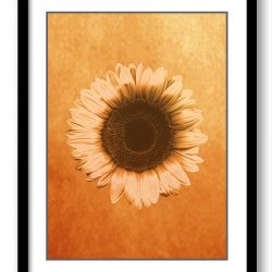 INSTANT DOWNLOAD Sunflower Flower Art Print Old Antique Vintage Printable Bathroom Bedroom Beige Yellow Brown