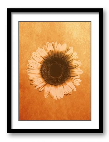 INSTANT DOWNLOAD Sunflower Flower Art Print Old Antique Vintage Printable Bathroom Bedroom Beige Yellow Brown