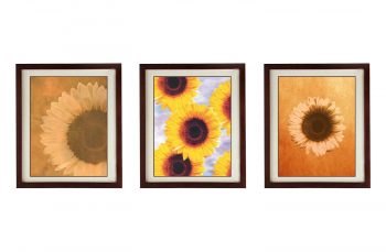 INSTANT DOWNLOAD Sunflowers Flower Set of 3 Prints Art Print Old Antique Vintage Printable Bathroom Bedroom Beige Yellow Brown