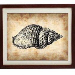 INSTANT DOWNLOAD Tulip Seashell Shell Lobster Vintage Style Ocean Nautical Print Art Parchment Antique Printable Beach Wall Decor Bathroom