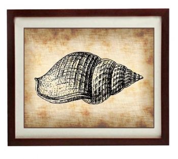 INSTANT DOWNLOAD Tulip Seashell Shell Lobster Vintage Style Ocean Nautical Print Art Parchment Antique Printable Beach Wall Decor Bathroom