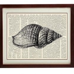 INSTANT DOWNLOAD Tulip Seashell Shell Vintage Style Ocean Nautical Print Art Book Page Dictionary Printable Marine Beach Wall Decor Bathroom