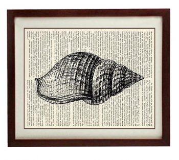 INSTANT DOWNLOAD Tulip Seashell Shell Vintage Style Ocean Nautical Print Art Book Page Dictionary Printable Marine Beach Wall Decor Bathroom