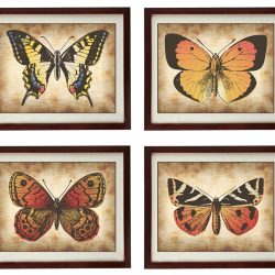 INSTANT DOWNLOAD Vintage Butterflies Set of 4 Prints Butterflies Art Parchment Paper Style Old Antique Drawing Painting Printable Art Print