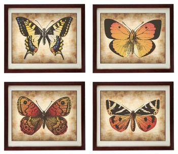 INSTANT DOWNLOAD Vintage Butterflies Set of 4 Prints Butterflies Art Parchment Paper Style Old Antique Drawing Painting Printable Art Print