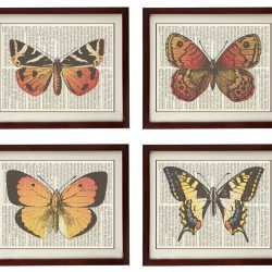 INSTANT DOWNLOAD Vintage Butterflies Set of 4 Prints Butterflies Art Print Book Page Dictionary Style Old Antique Drawing Painting Printable