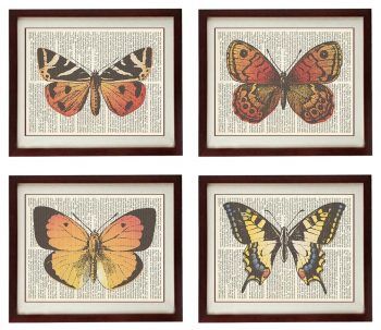 INSTANT DOWNLOAD Vintage Butterflies Set of 4 Prints Butterflies Art Print Book Page Dictionary Style Old Antique Drawing Painting Printable