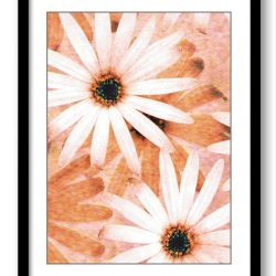 INSTANT DOWNLOAD White Brown Beige Daisy Flower Bathroom Art Print Brown Peach Coral Elegant Bathroom Wall Decor Flower Print