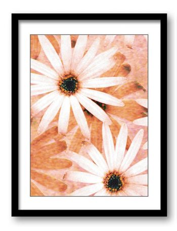 INSTANT DOWNLOAD White Brown Beige Daisy Flower Bathroom Art Print Brown Peach Coral Elegant Bathroom Wall Decor Flower Print