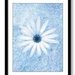 INSTANT DOWNLOAD White Daisy Flower Blue Bathroom Art Print Modern Elegant Watercolor Bathroom Wall Decor Flower Painting Bedroom