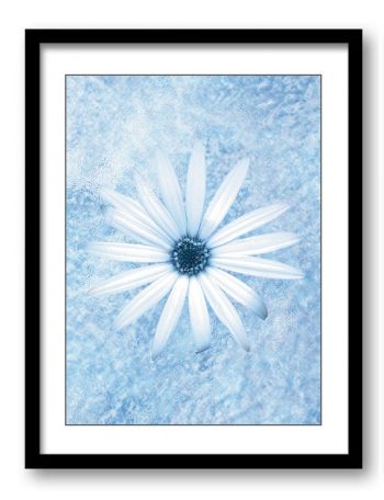 INSTANT DOWNLOAD White Daisy Flower Blue Bathroom Art Print Modern Elegant Watercolor Bathroom Wall Decor Flower Painting Bedroom