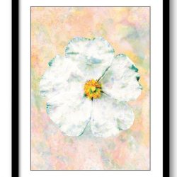 INSTANT DOWNLOAD White Flower Pink Coral Peach Bathroom Art Print Modern Elegant Watercolor Bathroom Wall Decor Flower Painting