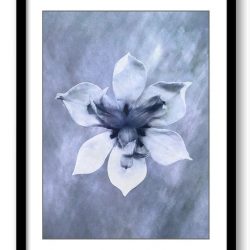 INSTANT DOWNLOAD White Purple Orchid Flower Bathroom Art Print Navy Blue Watercolor Painting Elegant Bathroom Wall Decor Flower Print