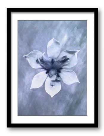 INSTANT DOWNLOAD White Purple Orchid Flower Bathroom Art Print Navy Blue Watercolor Painting Elegant Bathroom Wall Decor Flower Print