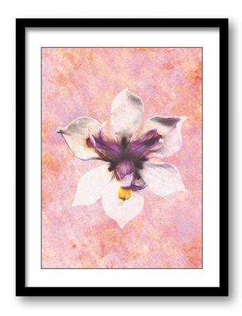 INSTANT DOWNLOAD White Purple Orchid Flower Bathroom Art Print Pink Coral Beige Elegant Bathroom Wall Decor Flower Print