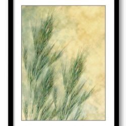 INSTANT DOWNLOAD Yellow Green Wheat Field Bathroom Art Print Abstract Nature Landscape Modern Watercolor Bathroom Wall Decor Painting