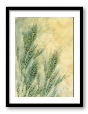 INSTANT DOWNLOAD Yellow Green Wheat Field Bathroom Art Print Abstract Nature Landscape Modern Watercolor Bathroom Wall Decor Painting