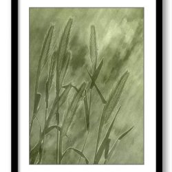 INSTANT DOWNLOAD Yellow Green Wheat Leaf Bathroom Art Print Abstract Nature Landscape Modern Watercolor Bathroom Wall Decor Painting