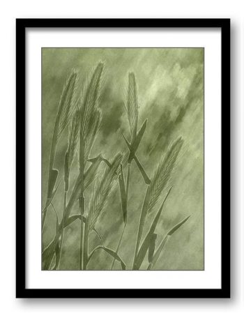 INSTANT DOWNLOAD Yellow Green Wheat Leaf Bathroom Art Print Abstract Nature Landscape Modern Watercolor Bathroom Wall Decor Painting