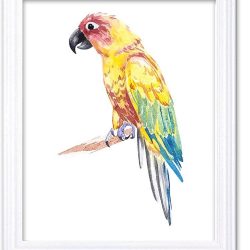 INSTANT DOWNLOAD Yellow Parrot Watercolor Art Painting Blue Red Green Print Poster Bird Home Decor Wall Art Child Nursery Art