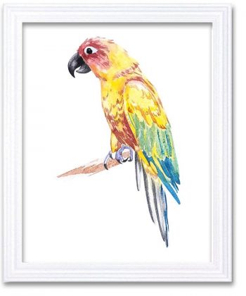 INSTANT DOWNLOAD Yellow Parrot Watercolor Art Painting Blue Red Green Print Poster Bird Home Decor Wall Art Child Nursery Art