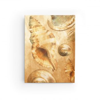 Journal Blank - Sea Shells Seashells Ocean Cream Beige Brown Gold Art Print Old Antique Vintage