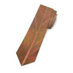 Necktie Colorful Leaf Copper Brown Beige Nature Art Print Old Antique Vintage