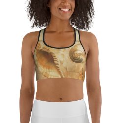 Sports Bra Sea Shells Seashells Ocean Cream Beige Brown Gold Art Print Old Antique Vintage