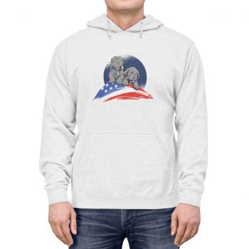 Adult Unisex Hoodie - 4th of July Independence Day